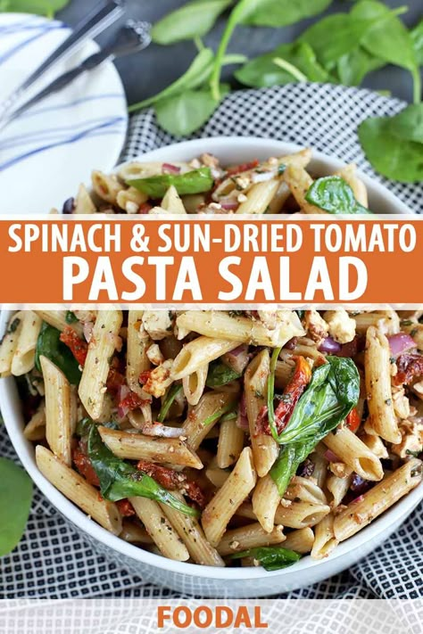 Your next backyard patio party has to include this spinach and sun-dried tomato pasta salad. The blend of balsamic vinegar, oil, and fresh herbs coats the noodles, along with fresh greens, tomatoes, onion, and olives to make for a stellar combination. Get the recipe now on Foodal. #easypastasalad #summerrecipes #foodal Pasta Salad Recipes With Sundried Tomato, Pasta Salad With Spinach And Tomatoes, Sun Dried Tomato Olive Oil Pasta, Pasta Salad Sundried Tomatoes, Pasta Salad With Sun Dried Tomatoes, Pasta Salad With Sundried Tomatoes, Sun Dried Tomato Salad, Sun Dried Tomato Pasta Salad, Backyard Patio Party