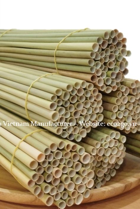 Contact To Seller: Ms. Snowie WhatsApp : +84 865783041 Mail: sale01@eco2go.vn Bamboo Grass, Drink Straw, Wheat, Vietnam, Straw, Eco Friendly, Drinks, Nature