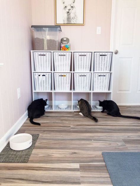 Cat Feeding Area, Laundry Storage Solutions, Cube Shelving Unit, Cube Shelving, Cat Feeding Station, Pet Station, Cube Shelf, Pet Feeding Station, Cubby Shelf