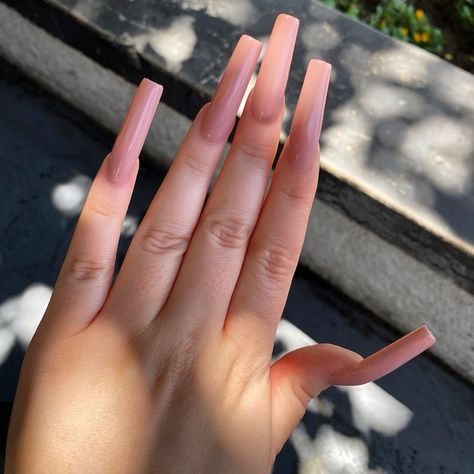 You can never go wrong with “xo beige” Tan Nail Designs, Beige Nail, Taylor Nails, Tan Nails, Tammy Taylor Nails, Acrylic Nails Nude, Tammy Taylor, Glitter Nails Acrylic, Light Pink Nails