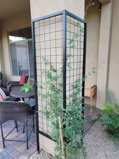 Corner Trellis Ideas, Corner Trellis, Porch Trellis, Dog Friendly Backyard, Planter Trellis, Metal Trellis, Office Entrance, Corner House, Backyard Projects