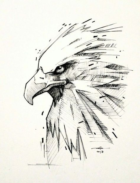 Eagle Ink Drawing, Drawing An Eagle, How To Draw Eagle, Wings Pencil Drawing, Eagle Drawing Pencil, Eagle Illustration Design, Cute Eagle Drawing, Eagle Drawing Sketches, Eagle Art Draw