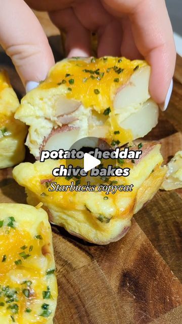 Madeline Tague on Instagram: "Comment RECIPE and I’ll DM you the recipe for this easy Starbucks copycat! These Potato Cheddar Chive Bakes are a meal prep staple for our family because they are so delicious and satisfying. 
https://madaboutfood.co/potato-cheddar-chive-bakes-starbucks-copycat/" Starbucks Potato Chive Bake, Potato Chive Egg Bites Starbucks, Starbucks Potato Cheddar And Chive Bake, Potato Cheddar And Chive Bake, Mashed Potatoes With Chives, Brocolli Cheddar Baked Potato, Breakfast Recipies, Copycat Starbucks Recipes, Starbucks Copycat