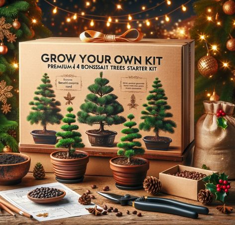 Image of the Premium 4 Bonsai Trees Starter Kit, an ideal Christmas gift for plant lovers looking to explore bonsai gardening. Diy Bonsai Tree, Men Gardening, Seed Starter Kit, Christmas Tree Kit, Mini Bonsai, Gifts For Moms, Christmas Plants, Seed Starter, Plant Gift