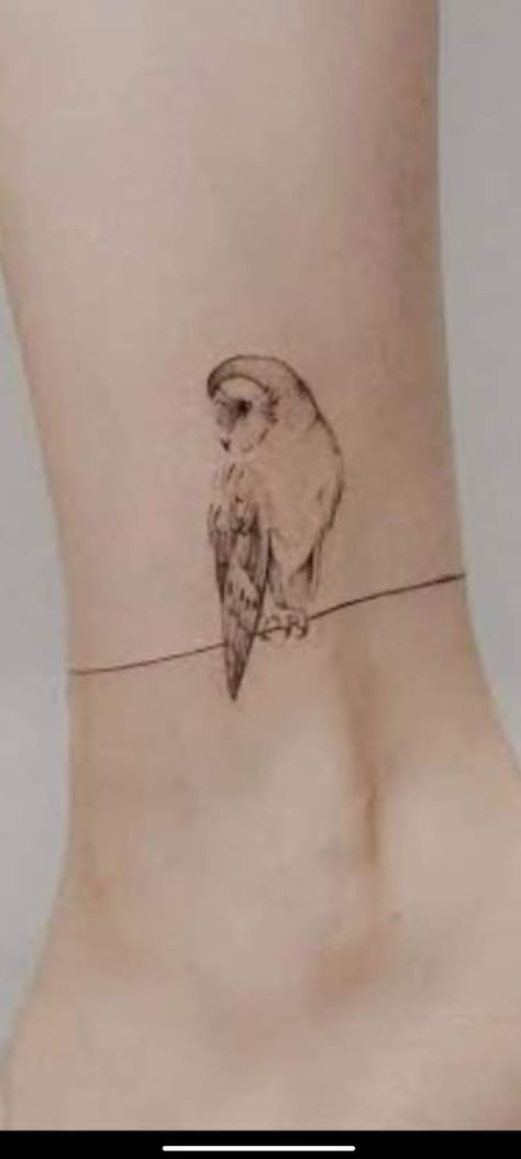 Feminine Owl Tattoo Ideas, Bird Tatoos Woman Arm, Owl Tatoos Woman, Owl Fine Line Tattoo, Simple Owl Tattoo Design, Small Owl Tattoos For Women, Barred Owl Tattoo, Minimalist Owl Tattoo, Fine Line Owl Tattoo