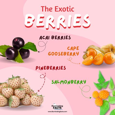 Dive into the delicious world of berries! 🍓 From juicy strawberries to tangy blueberries, learn all about their health benefits and tasty uses. #BerryLovers #HealthyEating #FruitFacts #BerryDelicious 🫐🍇🍒 Fruit Facts, Types Of Berries, Strawberry Garden, Traditional Medicine, Wild Berry, Sweet Taste, Interesting Facts, Blueberries, Health Benefits