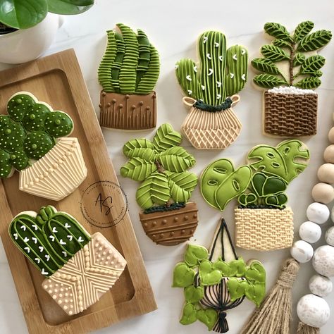 Plant Themed Cookies, Plant Cookies Royal Icing, Plant Cookies Decorated, Plant Cake Design Birthday, Desert Cookies Decorated, Succulent Cookies Decorated, Plant Sugar Cookies, Royal Iced Cookies Ideas, Plant Lover Cake