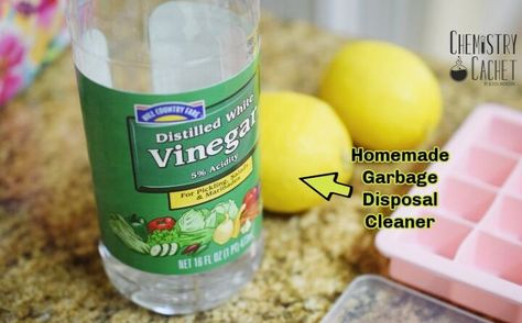 This post may contain affiliate links. These help support this website. You are going to love this easy homemade garbage disposal cleaner recipe!There are dozens of options and recipes online for cleaning garbage disposals, and I have been making different types over the last few years.There is a store-bought option I always keep on hand because it works very well, and it uniquely cleans and foams inside the disposal while also helping with clogs.I use both of these options and it ke… Garbage Disposal Cleaning, Garbage Disposal Cleaner, Disposal Cleaner, Cleaner Recipes, Diy Home Cleaning, Citrus Essential Oil, Christmas On A Budget, Distilled White Vinegar, Cleaning Storage