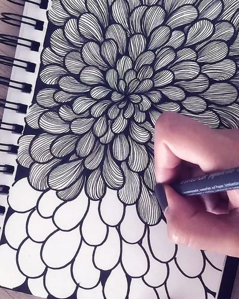 Zen Drawings Doodles, Zen Doodle Flowers, Zen Doodle Art Ideas, Line Art Drawings Simple, Simple Patterns To Draw, Doodle Drawings Zentangle Patterns, Zen Doodle Patterns Tangle Art, Zen Drawings, Doodle Zen