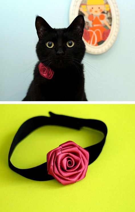 Puppy Accessories: Adorable Essentials for Your New Puppy How To Make A Cat Collar, Cat Collars Diy, Kitten Clothes, Kitten Decor, Cats Diy Projects, Puppy Accessories, Pet Blog, Dog Clothes Patterns, Cat Mom Gifts