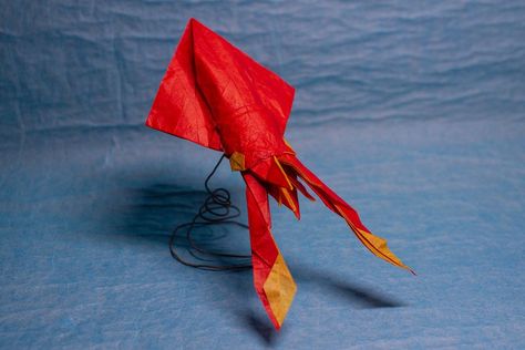 Dana Octopus Squid, designed and folded by Wasun N. (source: ) #origami #squid Octopus Squid, Creative Origami, Paper Fish, Origami Fish, Origami Crafts, Tropical Fish, Sea Creatures, Octopus, Wind Sock