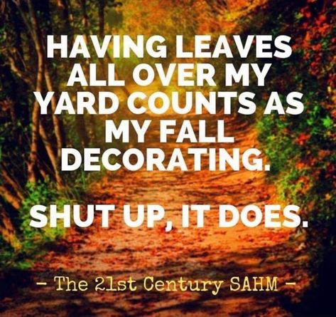 Fall Quotes Funny Humor, Welcome Fall Quotes, Quotes Funny Humor, Fall Humor, Fall Memes, Fall Quotes, The Memes, Cozy Fall Decor, Conference Tables