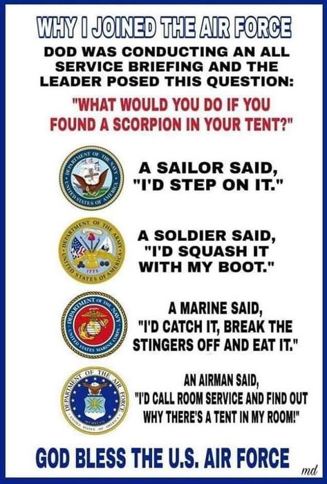 Air Force Jokes, Air Force Humor, Military Humor, Mad Dog, Logic, Air Force, Soldier, Funny Jokes, Force