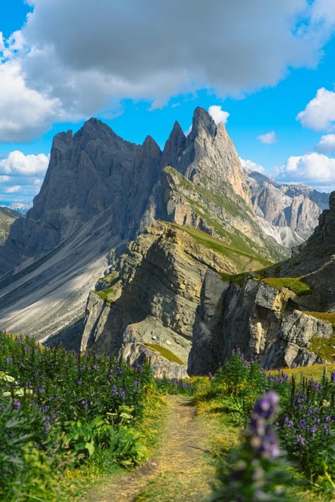 How To Visit Seceda In The Italian Dolomites (No Hiking) Italian Dolomites, Thailand Itinerary, Italian Alps, Holiday Photography, Italy Photography, Scotland Travel, Quick Guide, Beautiful Mountains, Hiking Trip