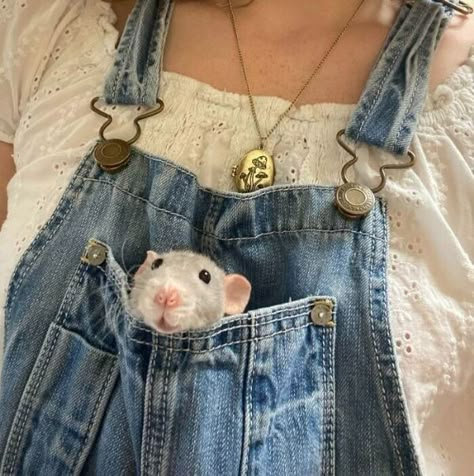 Rattus Rattus, Cute Animal Character, Fancy Rats, Dumbo Rat, Baby Rats, Rat Look, Rat Cage, Funny Rats, Fancy Rat