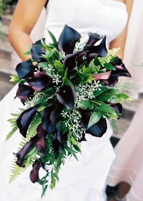 a lush wedding bouquet of deep purple callas, greenery, fern and white fillers is a very chic and bold idea Dark Calla Lily, Purple Calla Lilies Wedding, Fern Bouquet, Lilies Wedding, Black Calla Lily, Orchid Bouquet Wedding, Purple Calla Lilies, Lush Wedding, Calla Lily Wedding