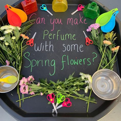 inspiringplayearlyears on Instagram: “SPRING TUFF TRAY INSPO🌻 We have so many childhood memories making perfume from flowers in the garden and this activity did not disappoint.…” In The Garden Eyfs Activities, Early Years Garden Activities, Preschool Classroom Toy Set Up, Summer Term Eyfs Activities, Fairy Garden Tuff Tray, Garden Activities Eyfs, Spring Activity Ideas, Plant Tuff Tray, Spring Tuft Tray Ideas