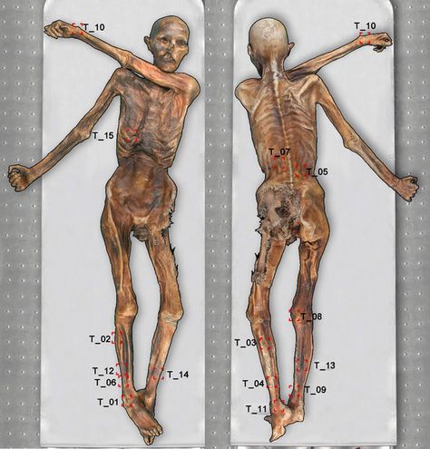 5,000-year-old Iceman had 61 Tattoos Otzi The Iceman, Ötzi The Iceman, History Tattoos, Ancient Tattoo, The Iceman, Tattoo Prices, Tattoo For Son, Tattoo Shows, Archaeological Discoveries