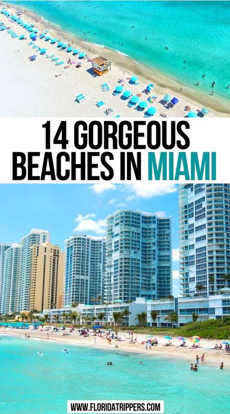 Gorgeous Beaches In Miami Best Hotels In Miami, Best Family Beaches, Best Weekend Trips, Miami Travel, Travel Bucket List Usa, Miami Beach Florida, Visit Florida, South Beach Miami, Usa Travel Destinations