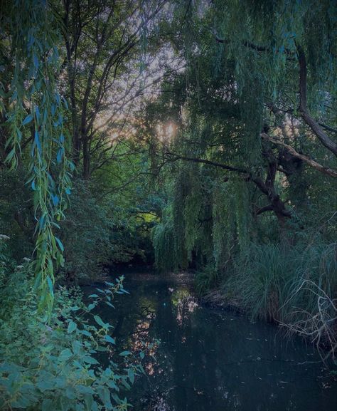 Hidden Lake In Forest, Hidden Nature Places, Hidden Forest Aesthetic, Hidden Lake Aesthetic, Hidden Garden Secret Places, Secret Hideout Aesthetic, Town Scape, Lake Core, Hidden Passageways