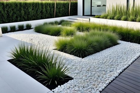 Landscape With White Rocks, White Rocks Landscaping Ideas Front Yard, Stone Landscape, White Rocks, Front Yard Plants, Yard Plants, Stone Landscaping, Classy Bedroom, Backyard Inspo