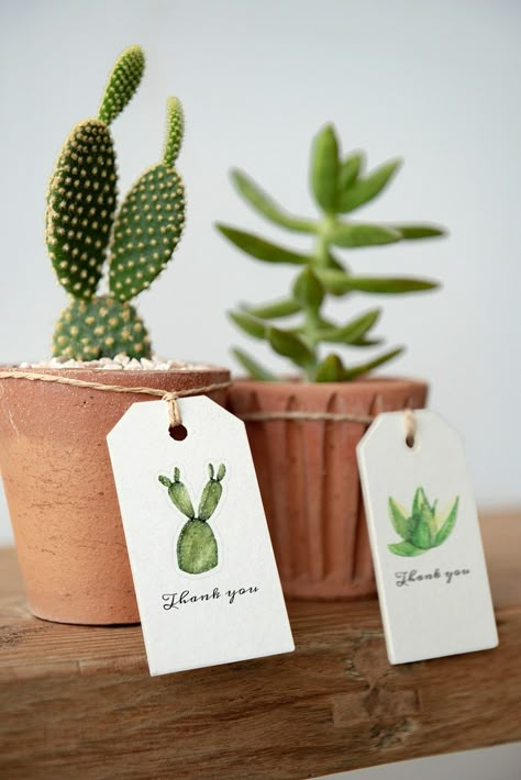 Paper tag mockup psd on cute cactus pots | premium image by rawpixel.com / Roungroat Plant Gift Ideas, Bunny Ear Cactus, Mall Ideas, Tag Mockup, Frida Art, Cactus Gifts, Succulent Garden Design, Cactus Pot, Cute Cactus