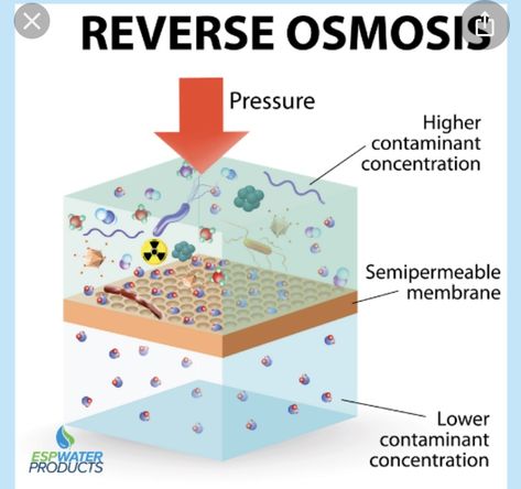 The Basics of an RODI Filter | REEF2REEF Saltwater and Reef Aquarium Forum Home Water Filtration, Reverse Osmosis Water Filter, Contaminated Water, Water Purification System, Reverse Osmosis Water, Reverse Osmosis System, Water Molecule, Water Solutions, Water Filtration System