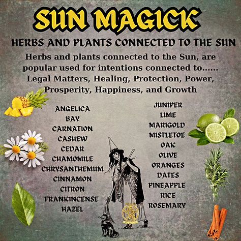 Solar Witchcraft, Fae Witchcraft, Herb Spells, Sun Magick, Witch Knowledge, Sun Witch, Money Candle Spell, Witch Woman, Sun Magic