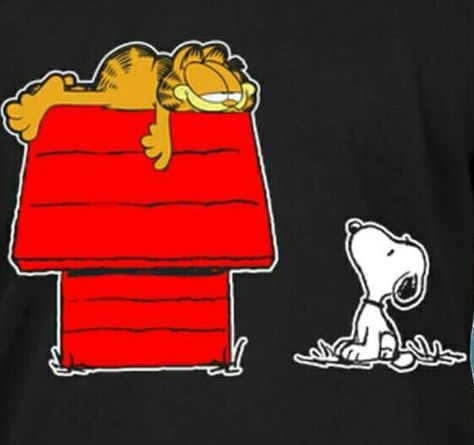 Snoopy n Garfield Snoopy Garfield, Snoopy And Garfield, Garfield And Snoopy, Goodnight Snoopy, Cartoon Cosplay, Garfield And Odie, Peanuts Comic Strip, Snoopy Images, Snoopy Pictures