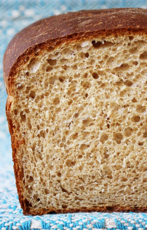 Sprouted Whole Wheat Bread, Wheat Flour Bread Recipe, Jenny Can Cook, Sprouted Wheat Bread, Rice Puddings, Whole Wheat Bread Recipe, Sprouted Wheat, Whole Wheat Rolls, Homemade Sandwich Bread