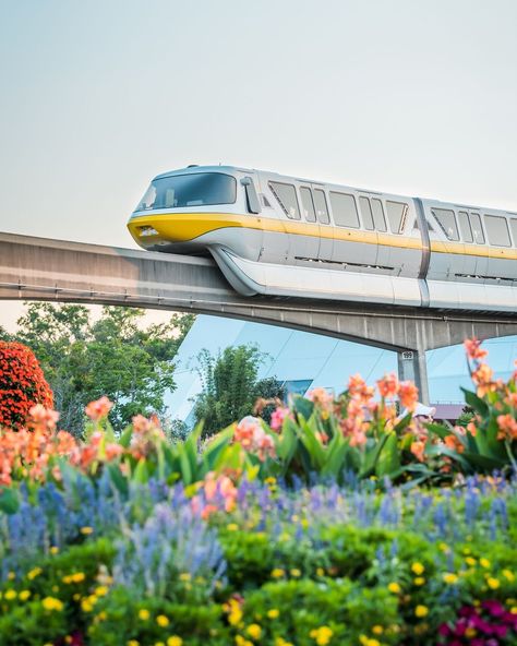 Our preferred method of transportation is ALWAYS going to be the Monorail! To Disney, to our hotel, to the grocery store, we'd take it… | Instagram Disneyworld Epcot, Disney Magazine, Disney Transportation, Disney Planner, Disney Photography, Disney Side, Resort Vacation, Disney Planning, Disney Holiday