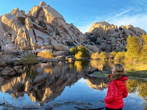 America the Beautiful National Park Passport - THE EVOLISTA Joshua Tree Aesthetic, Bucket List Usa, Alaska Itinerary, Winter Weekend Getaway, Alaska Summer, Tree In Winter, National Park Passport, Usa Trip, America The Beautiful