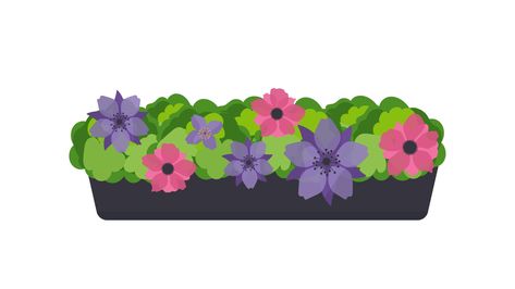 Long pot of flowers isolated on white background. Flower bed for the window. Vector. Bed Vector, Window Illustration, Window Planters, Window Box Flowers, Cartoon Flowers, Window Planter Boxes, Window Boxes, Flower Printable, Window Box