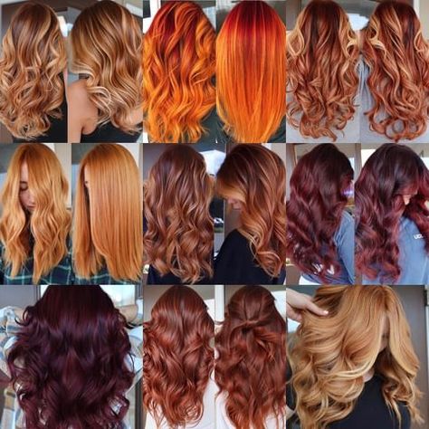 red brown hair color formula • Instagram Herbatint Hair Color Results, Red Brown Hair Color, Doing Hair, Hair Color Formulas, Brown Hair Color, Red Brown Hair, Brown Hair Colors, My Passion, Red Brown