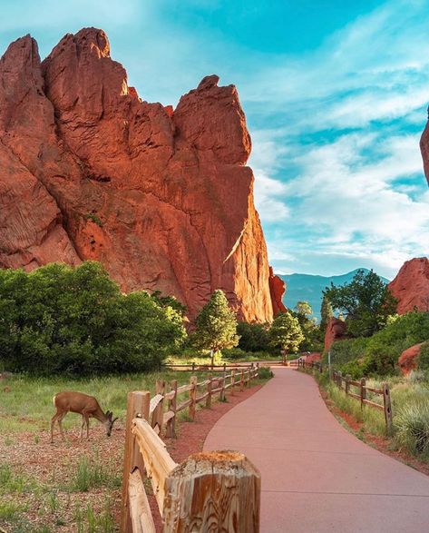 Colorado Springs, Colorado (@cityofcos) • Instagram photos and videos Colorado Aesthetic, Southern Aesthetic, Garden Of The Gods Colorado, Mountain Aesthetic, Garden Of The Gods, Colorado Vacation, Mountain Life, Colorado Travel, National Parks Trip