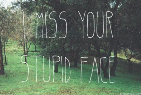 I Miss Your Face GIF - IMissYourStupidFace - Discover & Share GIFs Miss You Funny, I Miss Your Face, Miss Your Face, I Miss You Quotes, Missing You Quotes, Life Quotes Love, Makes Me Laugh, I Miss You, Love Love