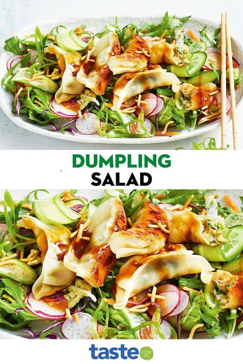 Gyoza Salad Recipe, Pot Sticker Salad, Gyoza Salad, Dumpling Salad, Rainbow Plate, Easy Dumplings, Prawn Salad, Lazy Dinners, Food Chinese