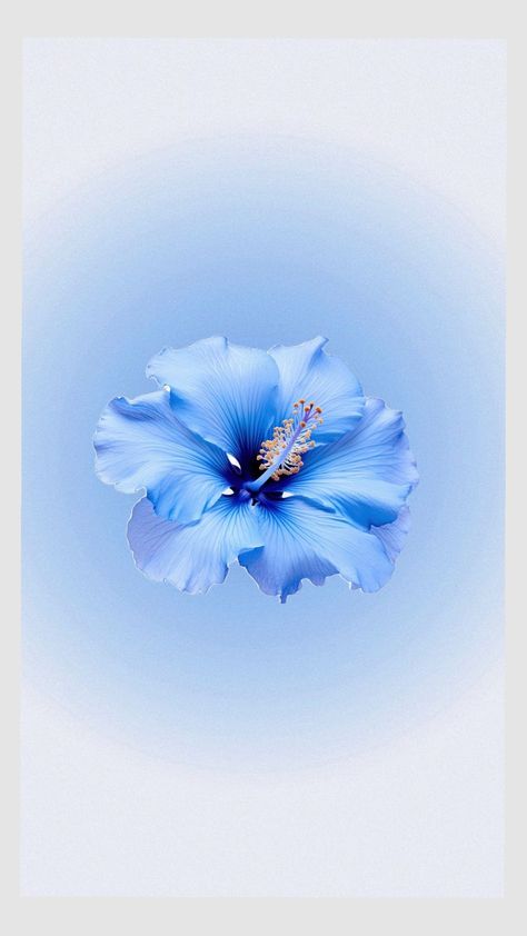 Wigets Pictures Aesthetic Blue, Hibiscus Flower Wallpaper Blue, Blue Hibiscus Flower Wallpaper, Wallpaper Backgrounds Light Blue, Light Blue Flower Wallpaper, Blue Flower Wallpaper Iphone, Blue Flowers Wallpaper Iphone, Image Aesthetic Bleu, Blue Ipad Background