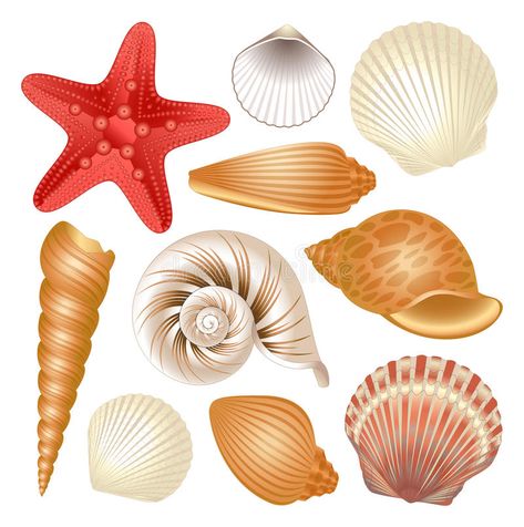 Starfish Clipart, Seashell Clipart, Mermaid Cake Topper, Mermaid Cakes, Shell Art, Stock Photography Free, Sea And Ocean, Sea Animals, Watercolor Illustration