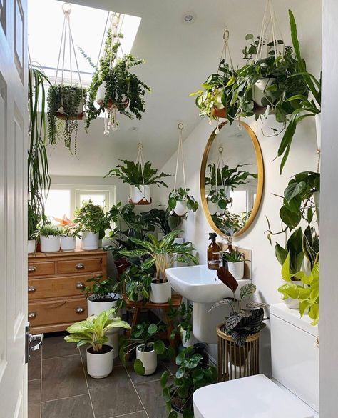 Indoor Plants Decor, Massage Therapy Rooms, Diy Greenhouse Plans, Vertical Garden Diy, Greenhouse Plans, Bathroom Plants, Plants Decor, Plant Aesthetic, Boho Room