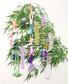 tanabata wishes on bamboo The Star Festival, Tanabata Festival, Japanese Holidays, Star Festival, Japan Cosplay, Japanese Festival, Celebration Around The World, Wishing Tree, Holidays Around The World