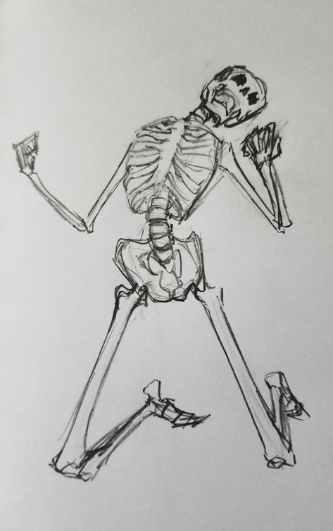 Skeleton Angles Reference, Skeleton Movement Drawing, Ribcage Drawing Simple, Sleketon Drawing, Skeleton Drawing Reference Simple, Skeleton Poses Drawing, Skeleton Laying Down Drawing, Ribcage Drawing Easy, Ribcage Sketch