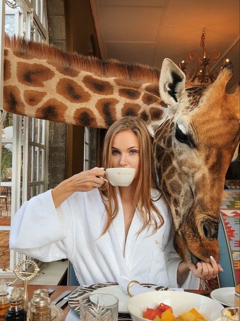 Breakfast With Giraffes, Giraffe Manor Kenya, Feeding Giraffes, Giraffe Hotel, Giraffe Manor, Giraffe Feeding, Kenya Travel, Kenya Safari, Top Cat