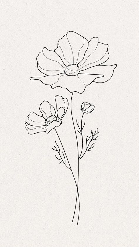 Cosmo Flower Line Art, Cosmo Flower Sketch, Cosmos Flower Line Drawing, Cosmo Flower Fine Line Tattoo, Cosmo Line Drawing, Cosmos Line Drawing, Cosmos Flower Drawing Simple, Cosmo Flower Tattoo Simple, Flower Fine Line Drawing