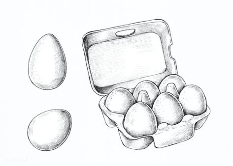 Hand drawn a box of raw eggs illustration | premium image by rawpixel.com / marinemynt Egg Drawing Art, Simple Cartoon Characters, Hand Drawn Fox, Draw A Box, Pineapple Vector, Cocktails Vector, Raw Eggs, Egg Vector, Apple Vector