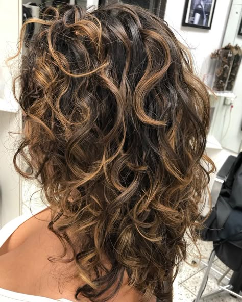 StephanieS on Instagram: “#curlyhairlondon#devacurl#curly#curlyhair#curlygirl#ombre#curlyhairdontcare#” Highlights On Curly Dark Brown Hair, Sombre Hair Curly, Curly Haircuts With Highlights, Dark Hair Highlights Curly, Y2k Highlights Curly Hair, Peekaboo On Curly Hair, Ombré Hair Curly, Curly Hair With Brown Highlights, Highlights For Curly Brown Hair