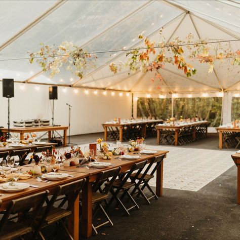 foxfire mountain house, clear tent, tented wedding, harvest wedding decor, fall wedding, tree installation, warm florals, string lights Fall Tented Wedding, Tree Installation Wedding, November Wedding Outdoor, Autumn Backyard Wedding, Harvest Wedding Decor, Fall Wedding Tent, Fall Wedding Lighting, Fall Wedding Indoor, Fall Tent Wedding