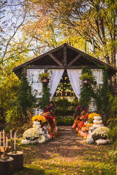 Virginia Wedding Venue | Tiny Wedding | Fall Wedding | Micro, Small, Intimate, Tiny Wedding Venue | Virginia Tiny Wedding Venues, Wedding Venue Virginia, Vaughan House, Wedding Micro, Tiny Wedding, Virginia Wedding Venues, Wedding Fall, Wedding Officiant, Virginia Wedding