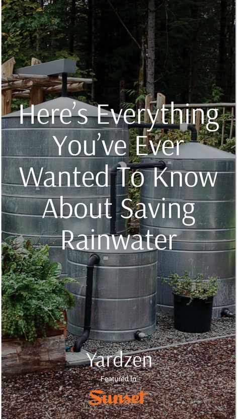 Diy Rain Barrel For Garden, Cistern Water System, Homestead Management, Desert Homestead, Greywater System, Rain Catchment System, Rainwater Cistern, Garden Potager, Rainwater Collection System