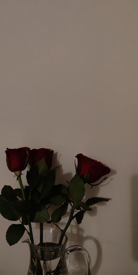 Dark Rose Photography, Dark Rose Wallpaper, Rose Dp, Flowers Dp, February Wallpaper, Roses Valentine, Dark Red Roses, Flower Background Iphone, Red Roses Wallpaper